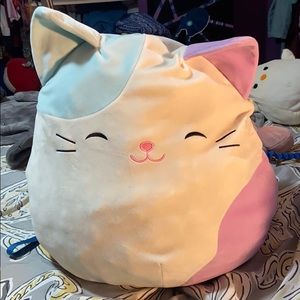 cat squishmallow